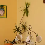 公寓 Venticello Di Mare *